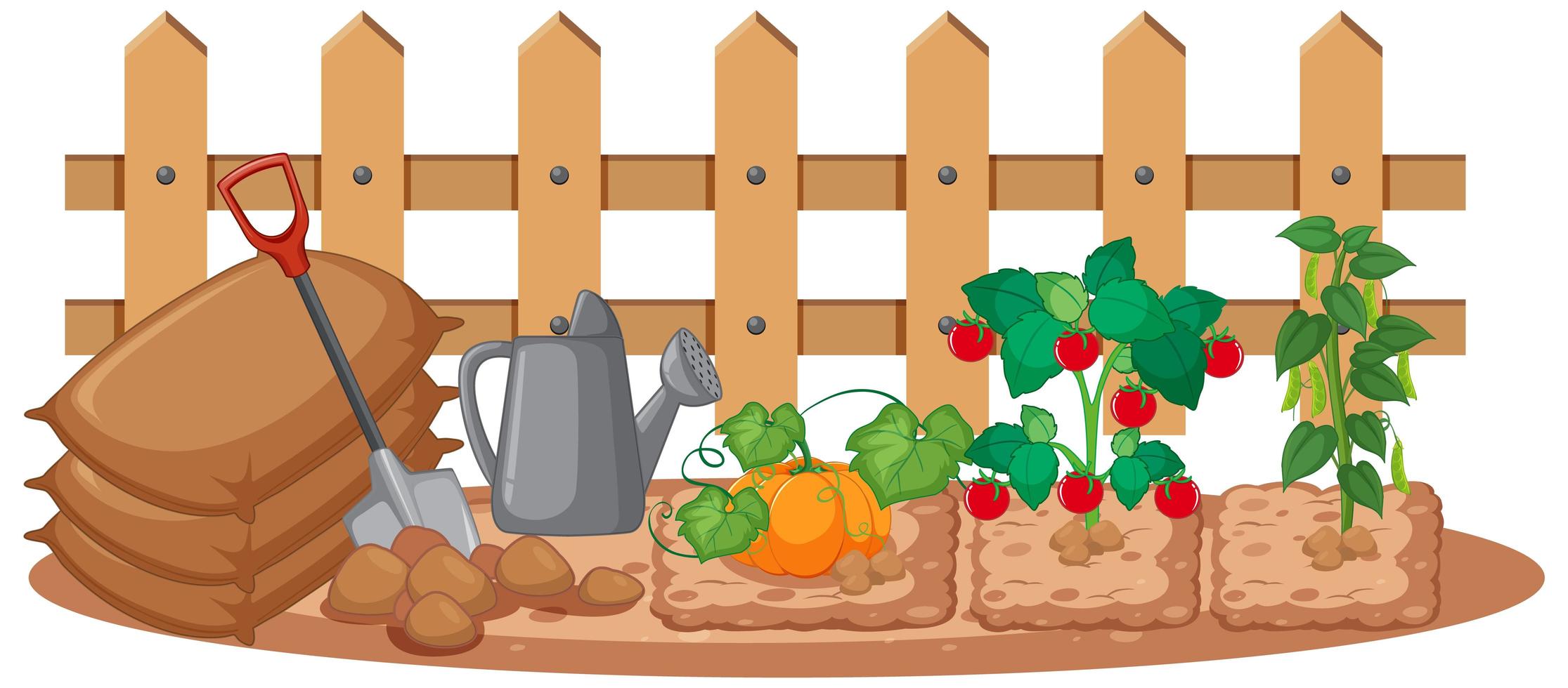 Queen Elizabeth II Allotments